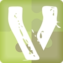 Vinsight logo
