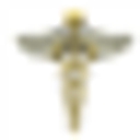 World Laparoscopy Hospital logo