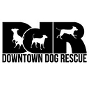 Downtown Dog Rescue logo