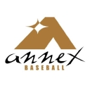 Annex logo