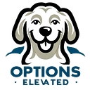 Options Elevated logo