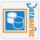 Datanamic logo