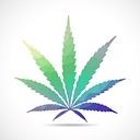 Cannabis Law Report logo