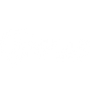 Shoreline Equity Group logo