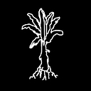 SoleRebels logo