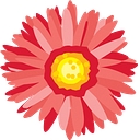 Mary Ann Morse logo
