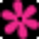 Occasions To Celebrate logo