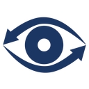 ISEE Systems logo