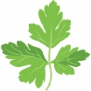 Parsley and Parm logo