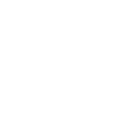 MSC Incorporated logo
