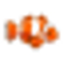 Premium Aquatics logo