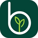 Blossm logo