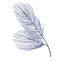 Maine Coast Veterinary Hospital logo