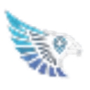 FalconZoom logo