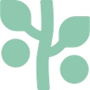 Peaceful Family Law logo