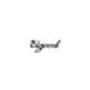 BIGOOD logo