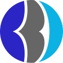 BringBackData logo