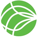 Better-IT Limited logo