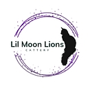 Lil Moon Lions logo