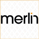 Merlin Cyber logo