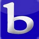 Bike Bling logo
