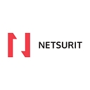 Netsurit logo
