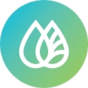 WashyWash logo