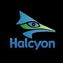 Halcyon Consultants logo
