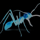 Eciton logo