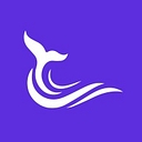 The Blue Oceans Group logo