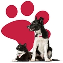 24PetWatch logo