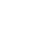 Miraterrasoil logo