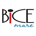 Bice Mare logo