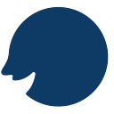 Denver Headshot Co. logo