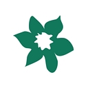 Scilly Flowers logo