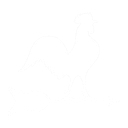 Zion Springs logo