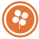 Copper Hill logo