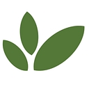 Independent Tree logo