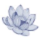 Sky Meadow Retreat logo
