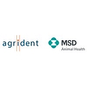 Agrident logo