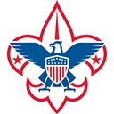 ScoutingWire logo