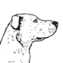 The Dog Institute logo