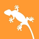Gecko Solar logo