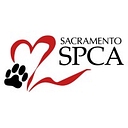 Scottish SPCA logo