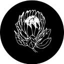 Adeline Artistry logo