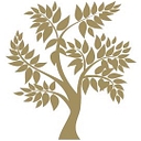 Phillip James Financial logo
