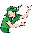 peterpancharters.com favicon
