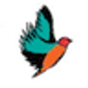 twobirdsbreakingfree.com favicon