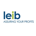 Leib Solutions logo