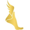 Well Heeled Podiatry logo